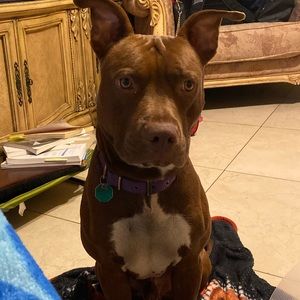 Meet your Posher, Karla